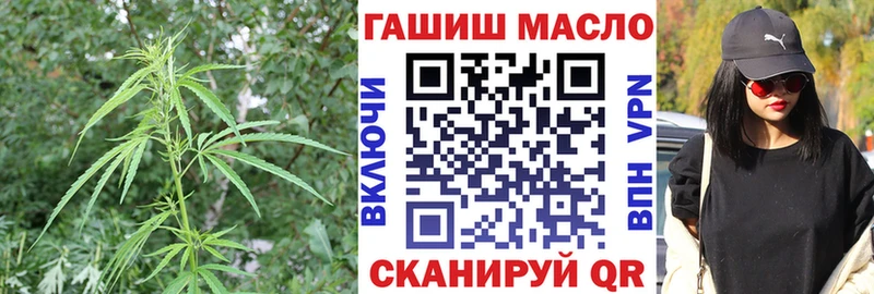 MEGA сайт  Славгород  ТГК вейп 